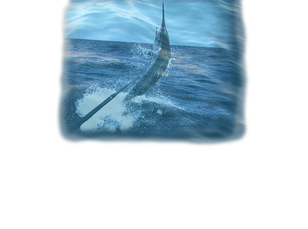 Game Fishing Club of South Australia