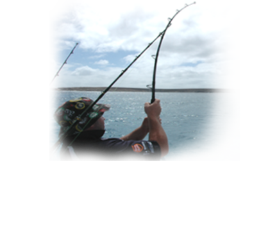 Marlin